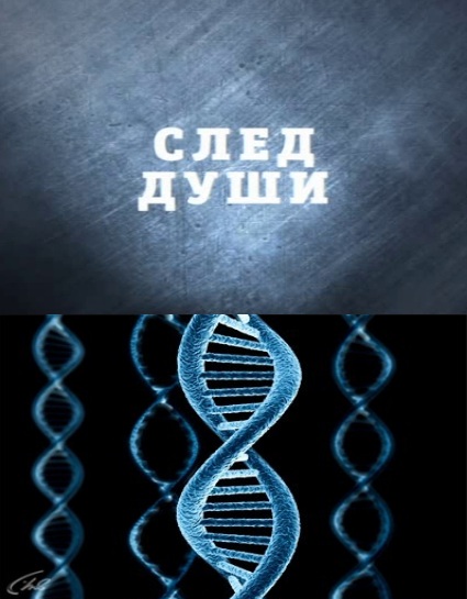 След дело. Отпечаток души. След души. След в душе. След души Франка.