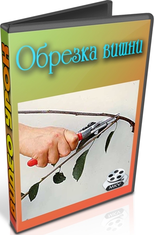 Обрезка вишни (2012) DVDRip