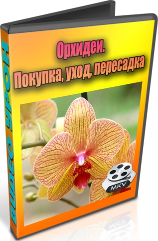 Орхидеи. Покупка, уход, пересадка (2012) DVDRip