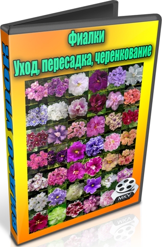 Фиалки. Уход, пересадка, черенкование (2013) DVDRip