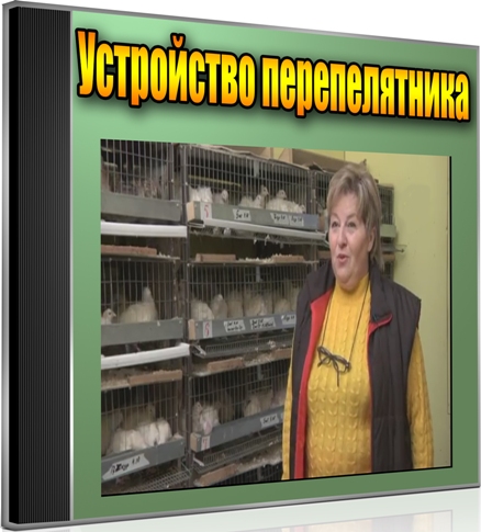 Устройство перепелятника (2012) DVDRip