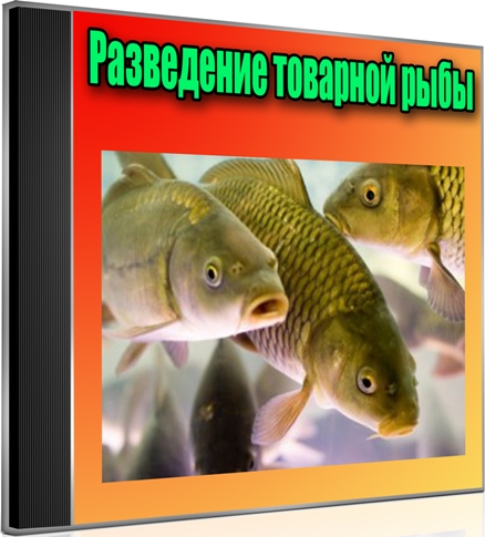 Разведение товарной рыбы (2012) DVDRip